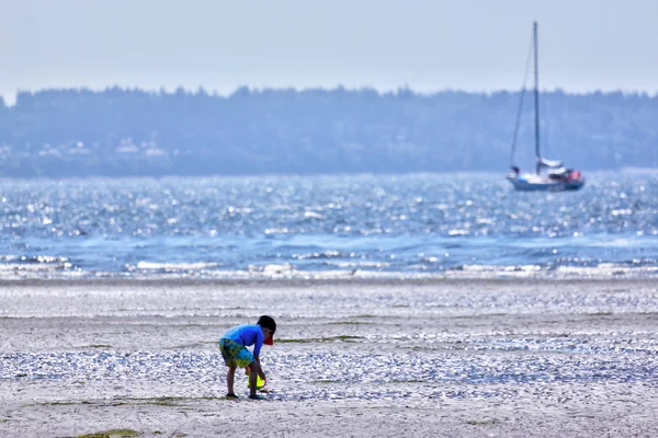 水とヨットを示す背景にフィールドの浅い深さと白い岩 カナダの砂浜のビーチで遊んでバケツを運ぶ少年の選択と集中 — ストック写真