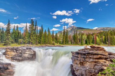 Athabasca Jasper National Park, Alberta, Kanada Icefields Parkway düşüyor. Sınıf 5 şelale, Kanada Rocky Dağları en güçlü şelale olduğunu.