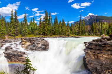 Athabasca Jasper National Park, Alberta, Kanada Icefields Parkway düşüyor. Sınıf 5 şelale, Kanada Rocky Dağları en güçlü şelale olduğunu.