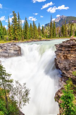 Athabasca Jasper National Park, Alberta, Kanada Icefields Parkway düşüyor. Sınıf 5 şelale, Kanada Rocky Dağları en güçlü şelale olduğunu.