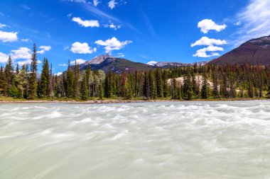 Süratle seyir eden Athabasca Athabasca Falls Jasper Milli Parkı'nda Alberta, Kanada doğru akan nehir sularının.