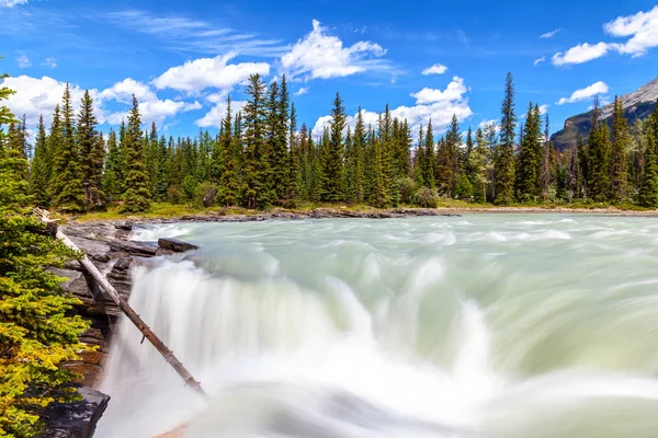 Athabasca Falls Jasper Milli Parkı'nda gösterilen en üstündeki Görünüm suları sınıf 5 şelale acele en güçlü Kanada Rocky Dağları'dekor.