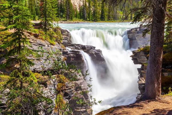 Athabasca Esik Jasper Nemzeti Parkban Jégmezők Parkway Alberta Kanada Egy — Stock Fotó