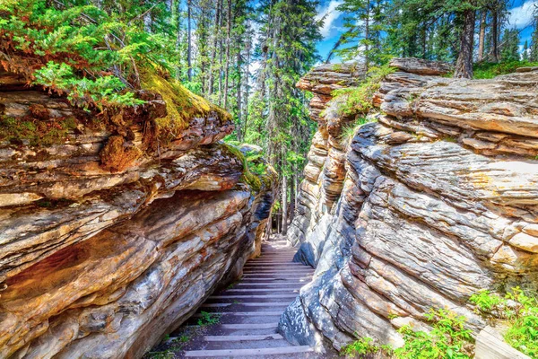 Athabasca Falls Icefields Parkway Jasper Milli Parkı'nda Alberta, Kanada üzerinde kanyonda uzun sarma merdiven keser.