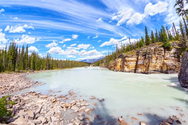 Athabasca Folyó Lenyűgöző Kanyon Falak Athabasca Falls Jasper Nemzeti Parkban — Stock Fotó