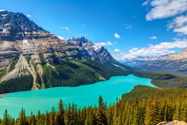 Peyto yay Zirvesi Banff National Park Icefields Parkway üzerinde her bakıldığında gibi Gölü. Buzul beslemeli Gölü yaz aylarında için parlak turkuaz renkli suların ünlüdür.
