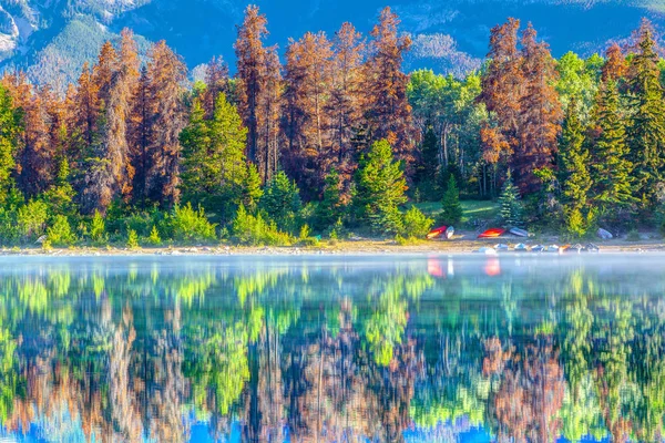 Färgglada Träd Fodrad Stranden Patricia Sjön Jasper National Park Kanada — Stockfoto