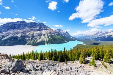 Peyto Gölü'nden yay Zirvesi Banff Ulusal Parkı'nda Icefields Parkway üzerinde bir geniş açı bakış. Buzul beslemeli Gölü yaz aylarında için parlak turkuaz renkli suların ünlüdür.