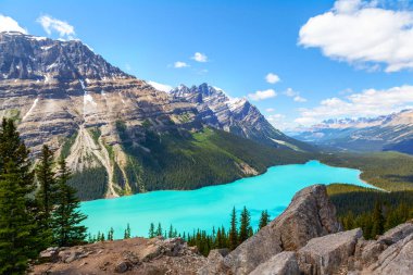 Banff Ulusal Parkı Icefields Parkway üzerinde Peyto göle bakan yay Zirvesi. Buzul beslemeli Gölü yaz aylarında için parlak turkuaz renkli suların ünlüdür.