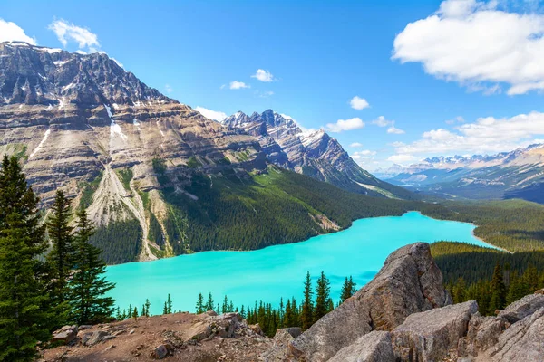 Bow Summit Banff National Park Overlooking Peyto Lake Icefields Parkway — Stock Photo, Image