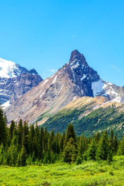 Hilda Parker Ridge hiking trail Jasper Milli Parkı'nda Icefields Parkway üzerinde gelen haliyle tepe.