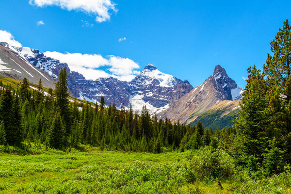Mount Athabasca with its dense glacier as viewed from Parker Ridge hiking trail on the Icefields Parkway in Jasper National Park. Hilda Peak is to the right.