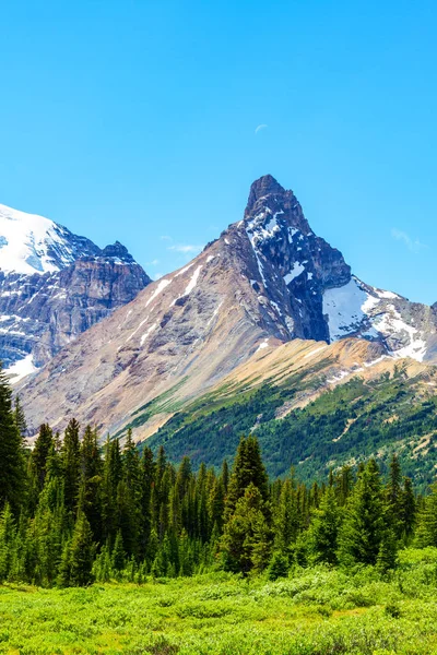 Hilda Peak Pohledu Parker Hřeben Turistická Stezka Národním Parku Jasper — Stock fotografie