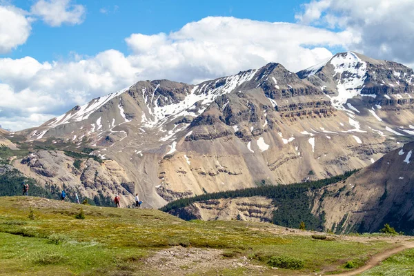 Jasper Canada Jul 2018 Hikers Crest Parker Ridge Icefields Parkway — Stock Photo, Image