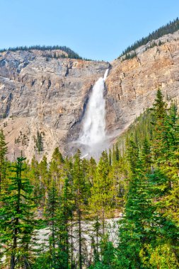 Güçlü Takakkaw Falls Yoho Milli Parkı'nda alan, British Columbia, Kanada yakınlarında. Buzul beslemeli şelale en uzun biri Kanada.