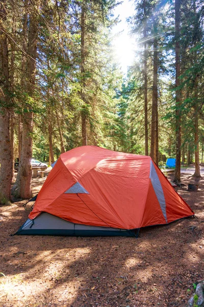 Morning sunrise over camping tent in the summer wilderness of Banff National Park in Canada with surrounding pine trees.