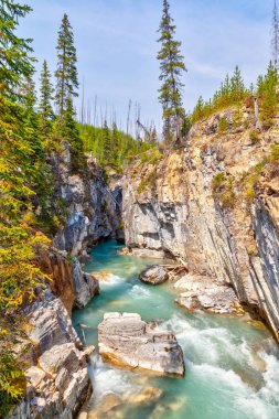 Kootenay Milli Parkı, British Columbia, Kanada, Banff yakınındaki mermer kanyona akıyor Tokumm Creek gelen turkuaz renkli suların.