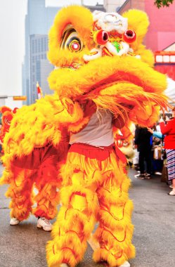 Şahlanan Çince kültürel aslan Kanada Calgary mahallesinde performans dans.