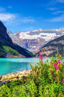Lake Louise Banff National Park turkuaz göller buzul beslemeli, ön plan ve Victoria buzul Dağı güzel çiçek yatakta içinde belgili tanımlık geçmiş. Dikey yönlendirme.