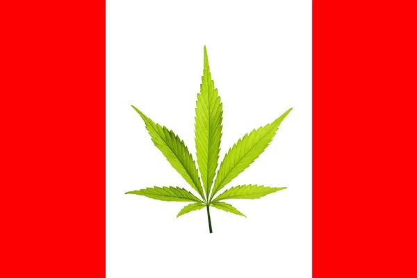 Bandera Canadiense Con Planta Cannabis Verde Centro Lugar Hoja Arce — Foto de Stock