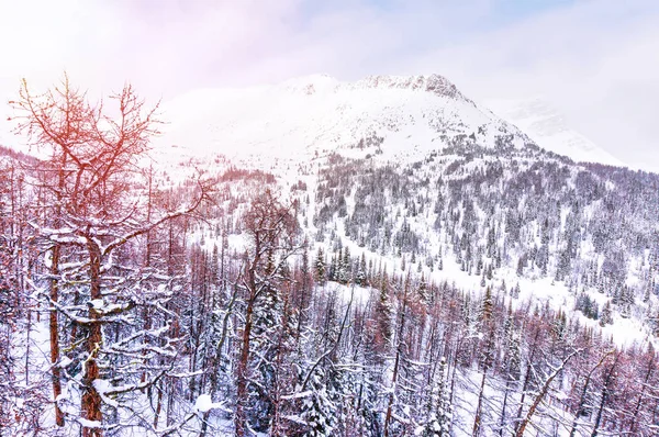 Salida Del Sol Sobre Nevado Paisaje Montañoso Invernal Del Lago —  Fotos de Stock