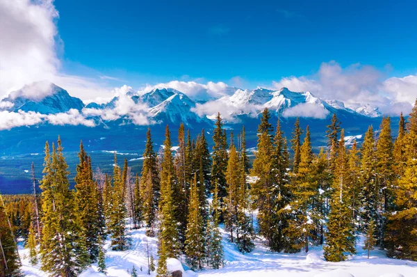 레이크 루이스 캐나다 캐나다로 키에서 커버는 산봉우리의 — 스톡 사진