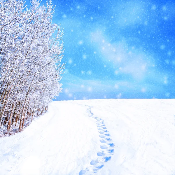 冬季的风景与足迹在雪的路径沿着树木覆盖着雪之后 圣诞节主题和复制空间 — 图库照片