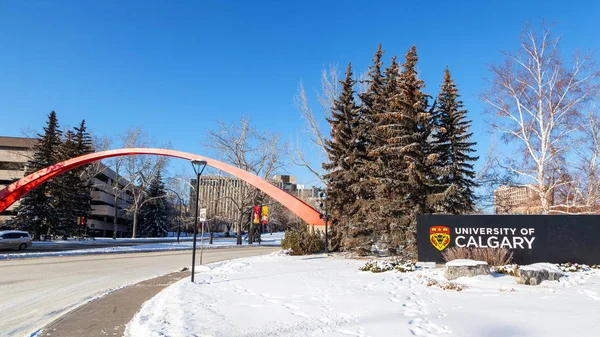 Calgary Kanada Şubat 2019 University Calgary Giriş Işareti Kemer Calgary — Stok fotoğraf