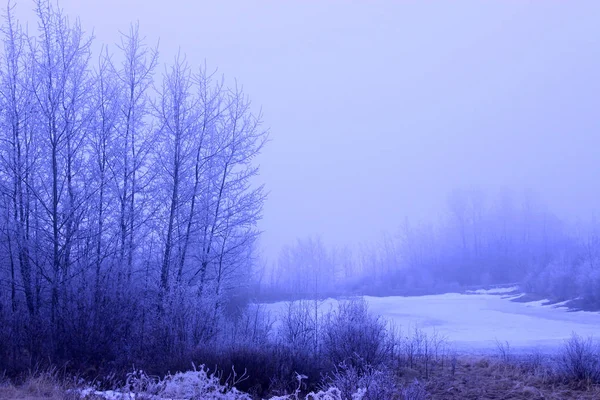 Paisagem Fria Nebulosa Manhã Inverno Com Lago Congelado Coberto Neve — Fotografia de Stock