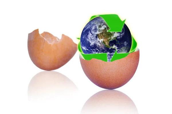 Reciclaje de Cáscaras de Huevo para Proteger el Planeta Tierra —  Fotos de Stock