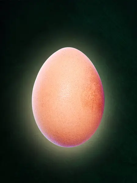 Huevo marrón retroiluminado aislado en el fondo de pizarra con copia Sp — Foto de Stock