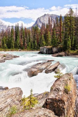 Yoho Milli Parkı 'nda doğal köprü at River Kicking, can