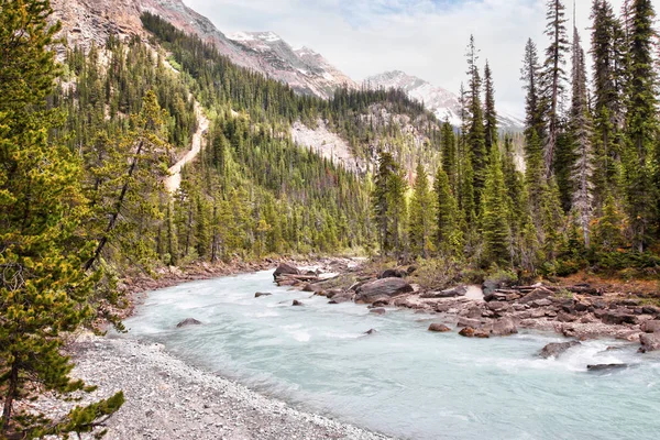 Gleccser fed Waters flow-tól Takakkaw vízesés a kanadai Rockies — Stock Fotó