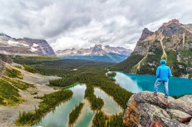 Kanada Rocki Lake O'Hara de Opabin Prospect Tepesinde Hiker