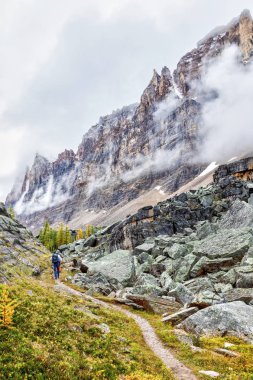 Yoho Milli Parkı'ndaki O'Hara Gölü'ndeki Opabin Patikası'nda yürüyüş