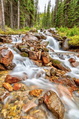 Şelale Boyunca Doğu Opabin Trail Lake O'Hara Kanada Roc