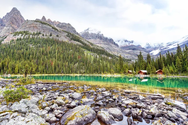 Lake O'Hara at Sargent's Point in the Canadian Rockies of Yoho N — Stock Photo, Image