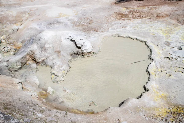 Sulphur CAULDRON på Mud Vulkanområdet Yellowstone National par — Stockfoto