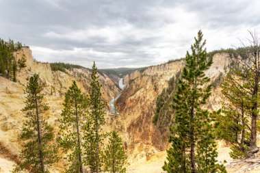 Sanatçı Poin'den Yellowstone'un Aşağı Şelalesi ve Büyük Kanyonu