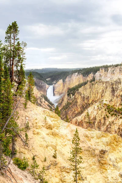 Lower Falls y el Gran Cañón de Yellowstone del artista Poin — Foto de Stock