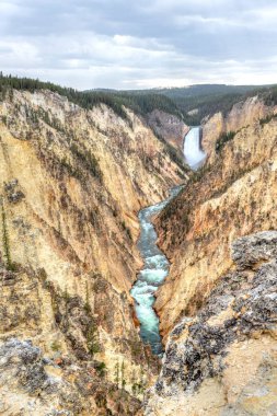 Sanatçı Poin'den Yellowstone'un Aşağı Şelalesi ve Büyük Kanyonu
