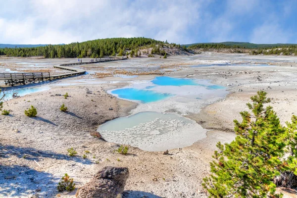 Szlak dorzecza Porcelany w dorzeczu Norris Geyser w Yellowstone Nati — Zdjęcie stockowe