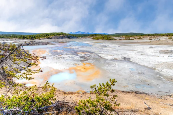 Sendero de Cuenca de Porcelana en la Cuenca Norris Geyser en Yellowstone Nati — Foto de Stock