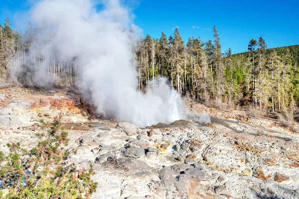 Erupción de géiser de vapor en la cuenca de Norris Geyser en Yellowstone — Foto de Stock