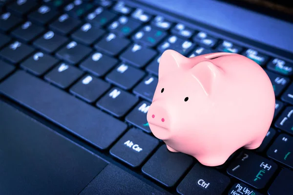 用电脑键盘上的粉色储蓄罐来说明技术上的节省 网上银行和经济概念 — 图库照片