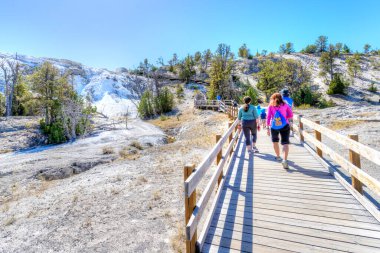 Wyoming, ABD - 28 Ağustos 2019: ABD 'de büyük bir ilgi çeken Yellowstone Ulusal Parkı' ndaki Mammoth Kaplıcaları 'nın alt teraslarını keşfeden ziyaretçiler.