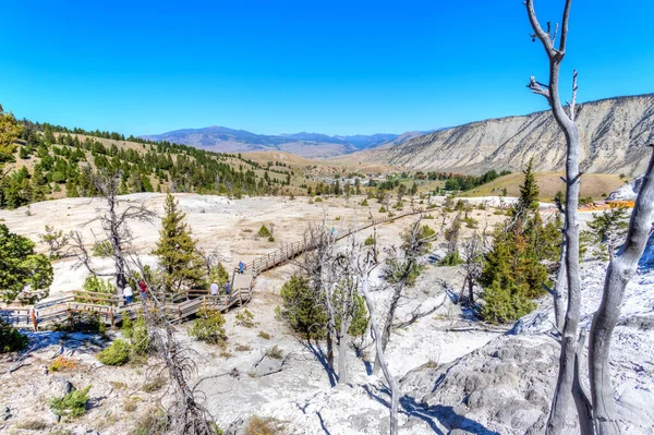 Wyoming Usa Sierpnia 2019 Goście Zwiedzający Dolne Tarasy Mammoth Hot — Zdjęcie stockowe