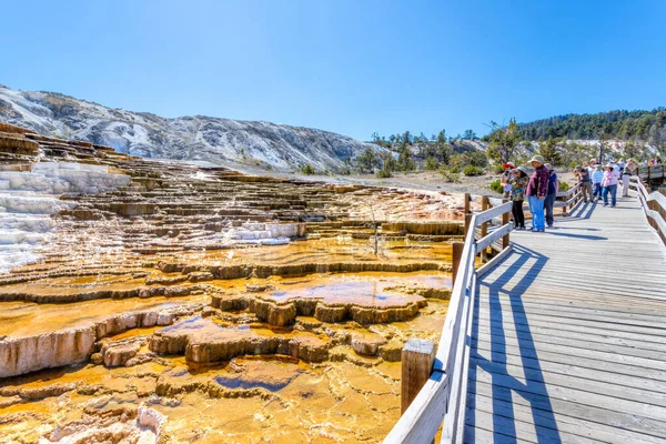 Wyoming Estados Unidos Agosto 2019 Los Visitantes Que Admiran Las — Foto de Stock