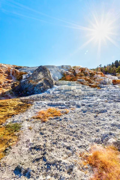 Palette Spring Deliberate Sun Flare Mammoth Hot Springs Yellowstone National — Stock Photo, Image