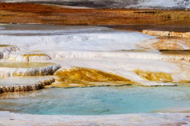 ABD 'nin Yellowstone Ulusal Parkı' ndaki Mamut Kaplıcaları 'nın ana terasında kapılar ve travertin oluşumları kapanıyor..